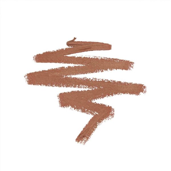 Diego dalla Palma Plump&Fill my lips- matita labbra effetto volume 195 - immagine 2