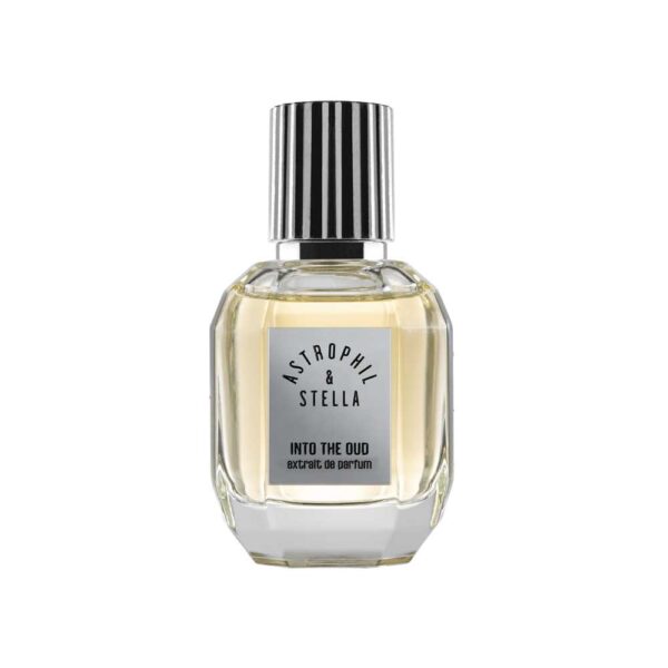into the oud astrophil & stella